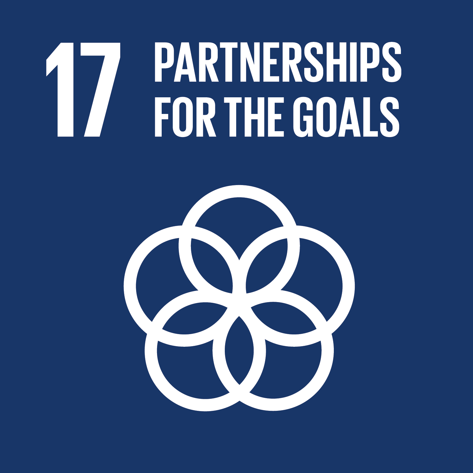 SDG 17